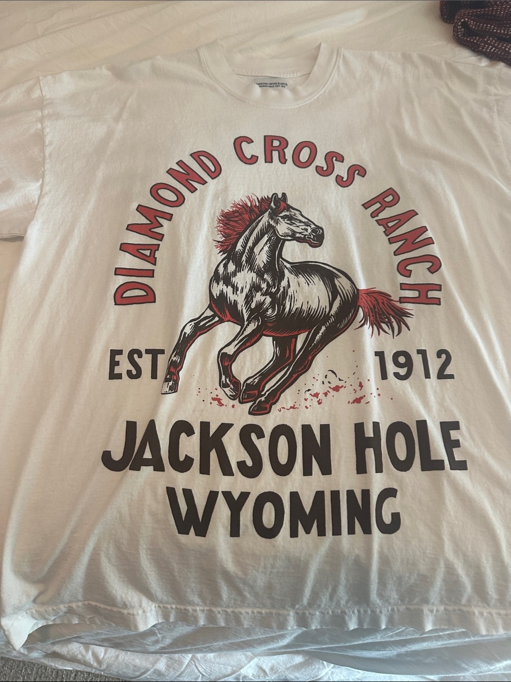 Diamond Cross Ranch Jackson Hole Graphic Tee - White
